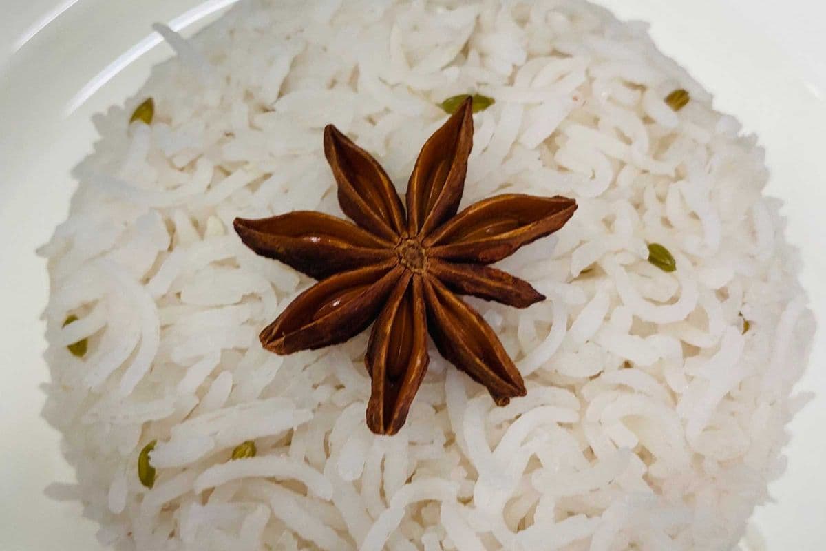 Rice