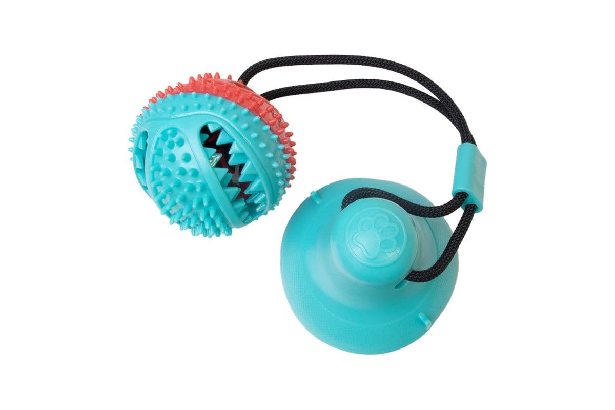 Pampered Pal Dog Toy Suction Cup Tug with Bell Blue