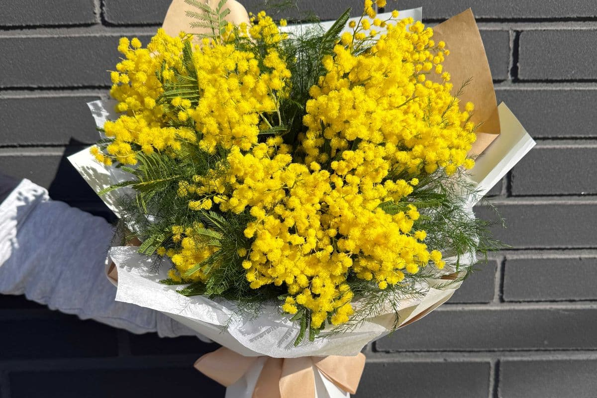 Golden Mimosa Sunshine