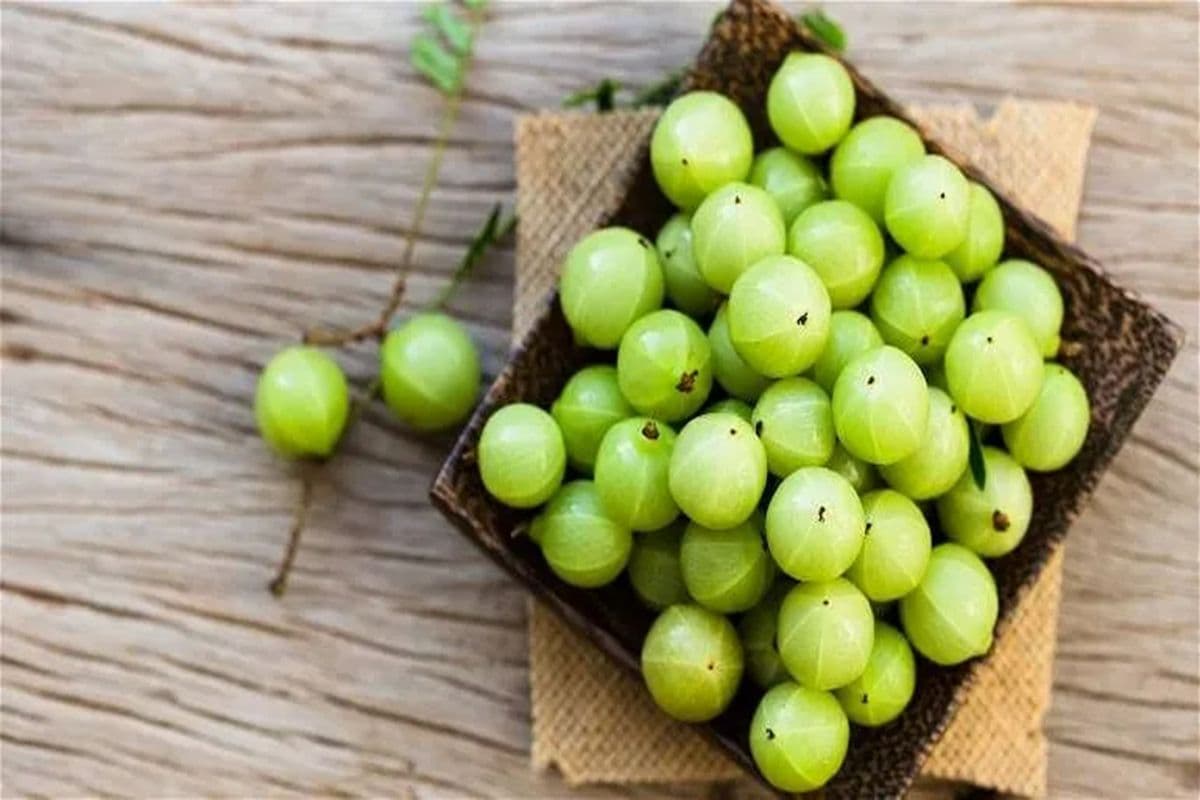 Fresh Amla India (1 lb)