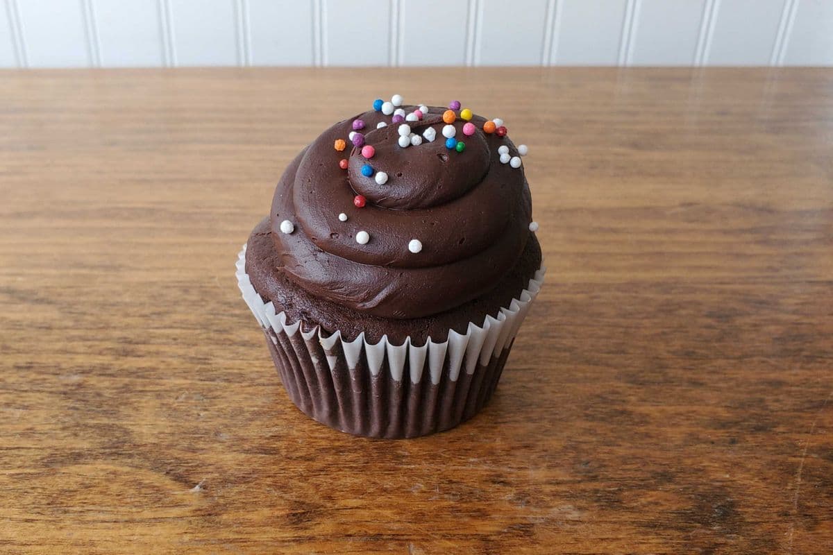 Chocolate Regular Cupcake