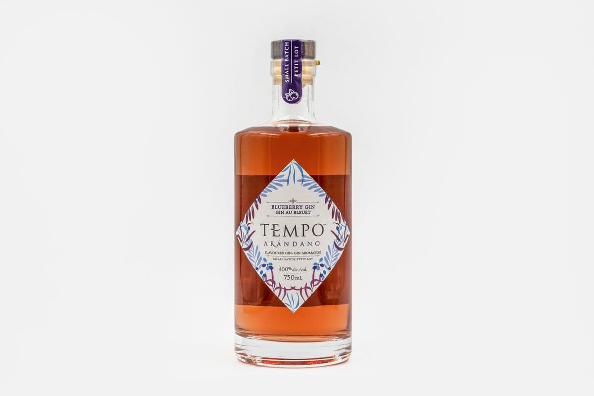 Tempo Gin Arandano Blueberry Gin (1 x 750 ml)