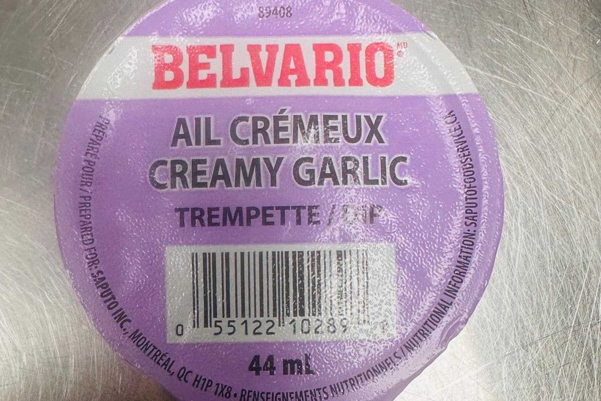 Creamy Garlic Dip