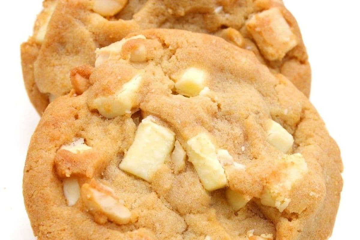 White Chocolate Macadamia Cookie (1 pc)