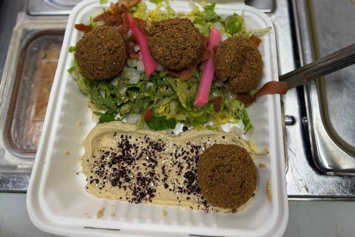 Falafel Platter