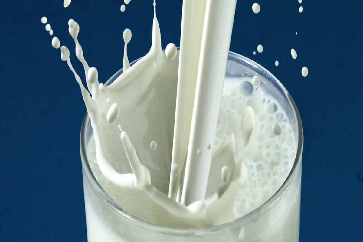 Milk