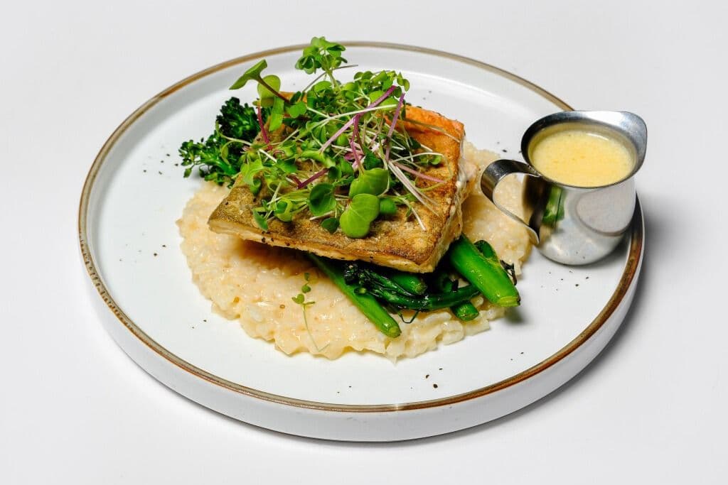 Arctic Char