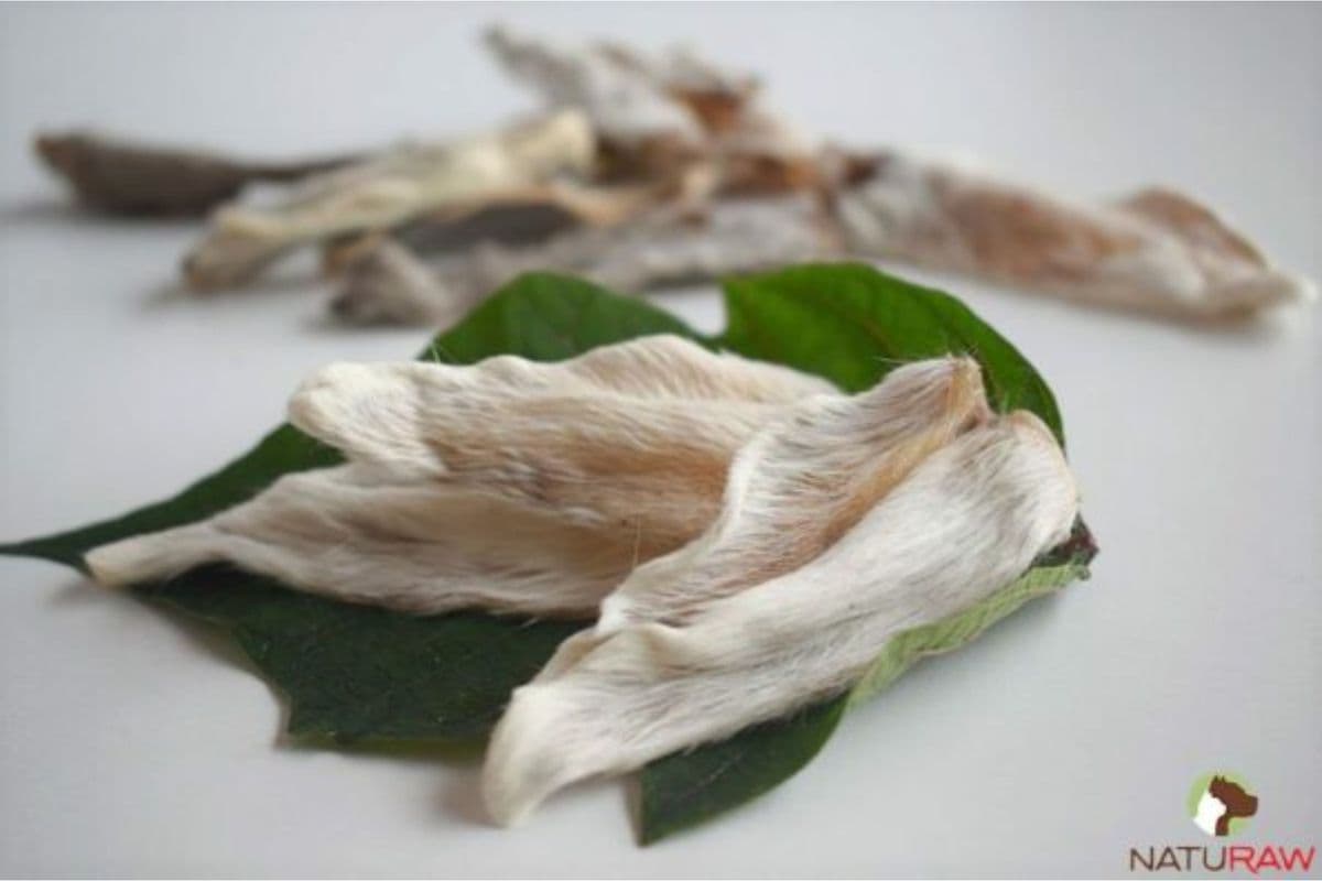 Dehydrated Rabbit Ears