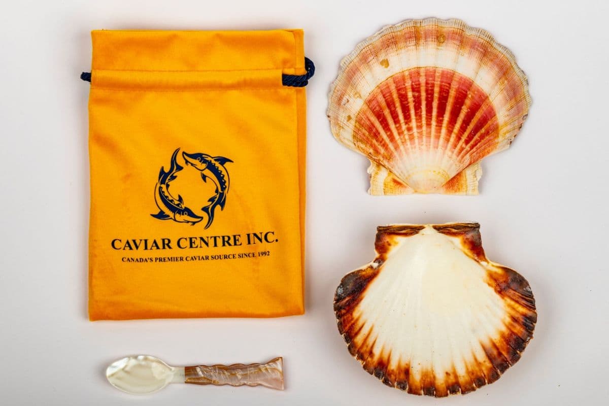 Caviar Condiment Presentation Set (1 Set)