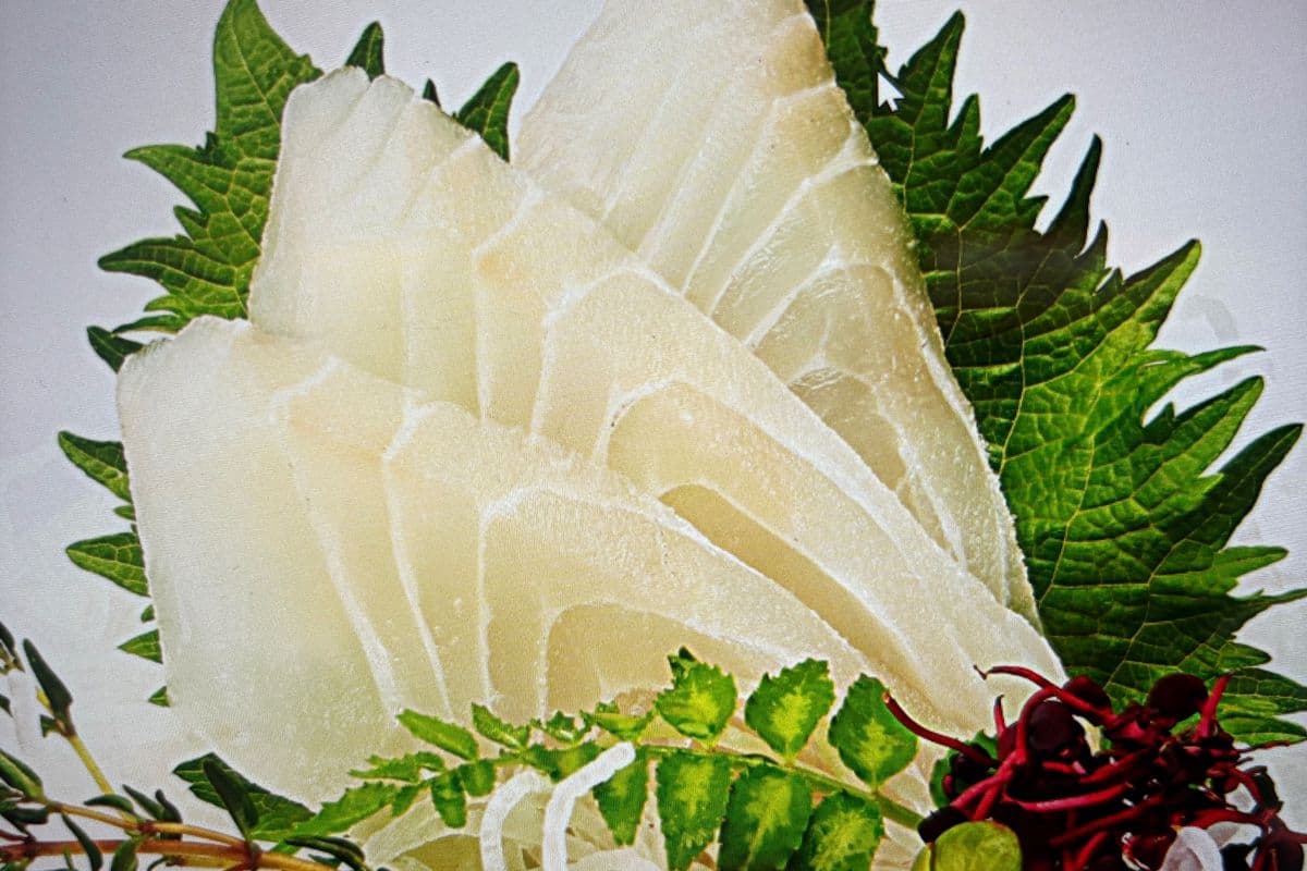 Snapper Sashimi