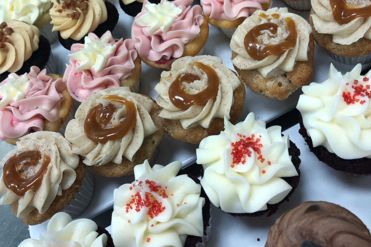 12 Assorted Regular Size Cupcakes