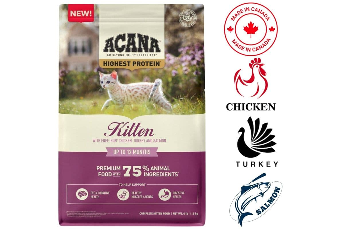 Acana Highest Protein Kitten Dry Cat Food (4 lbs)