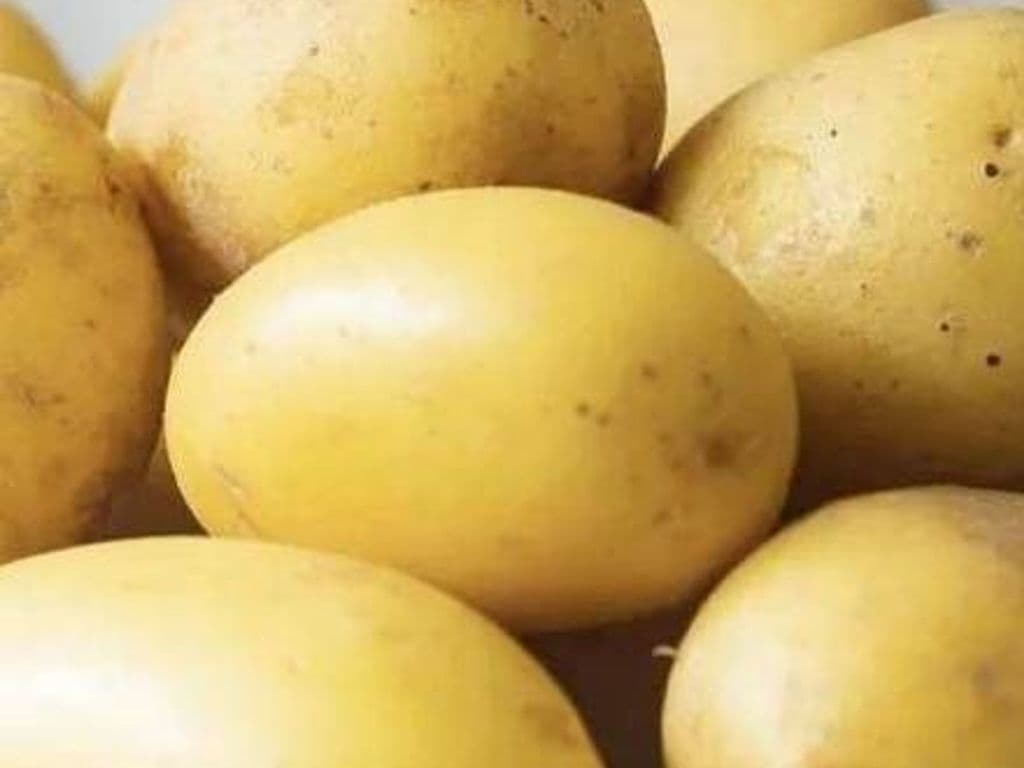 POMMES DE TERRE CUITES