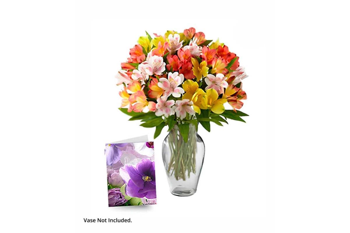50 Blooms of Alstroemeria