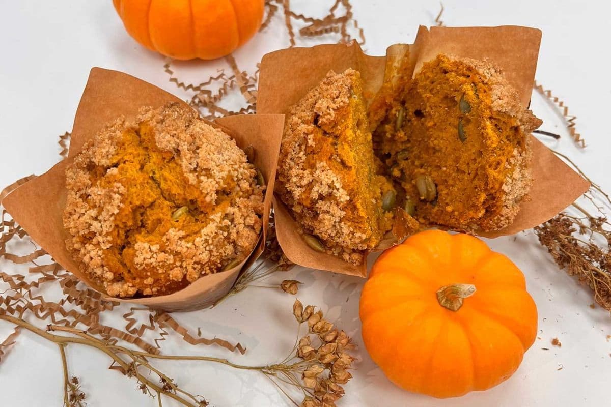 Pumpkin Muffin