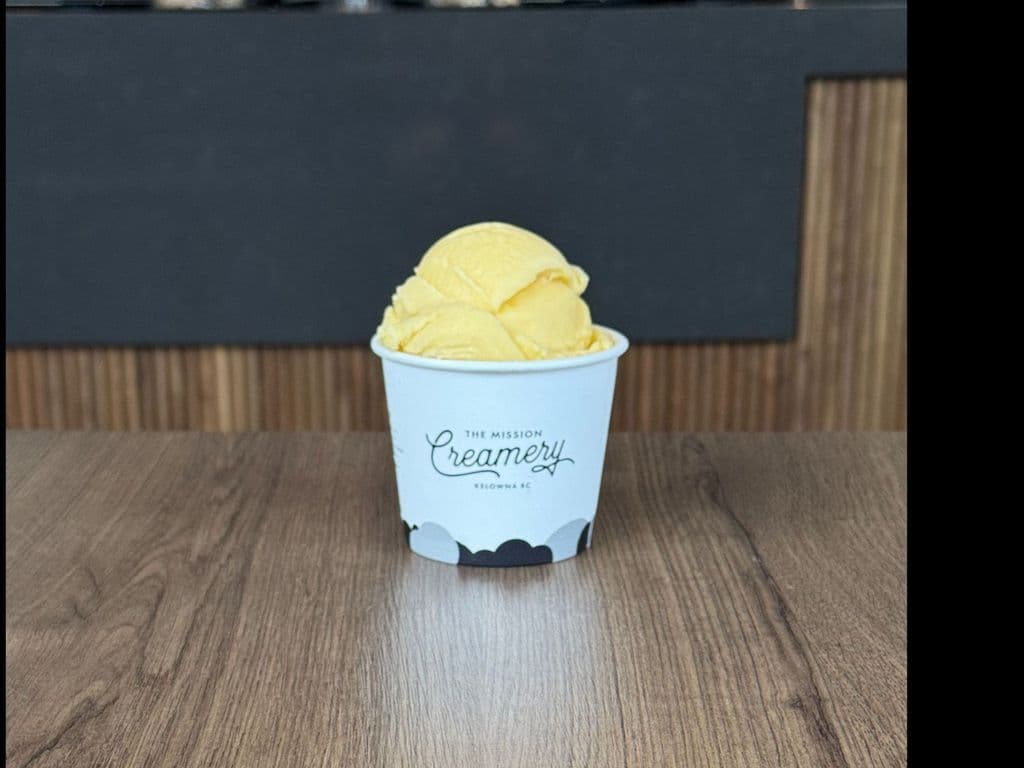 Mango Delight (V)(GF)