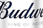 Tall Can of Budweiser (1 x 4 pack)