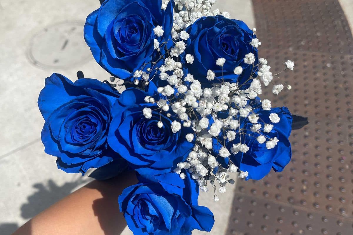 Blue Roses - 6 Stems
