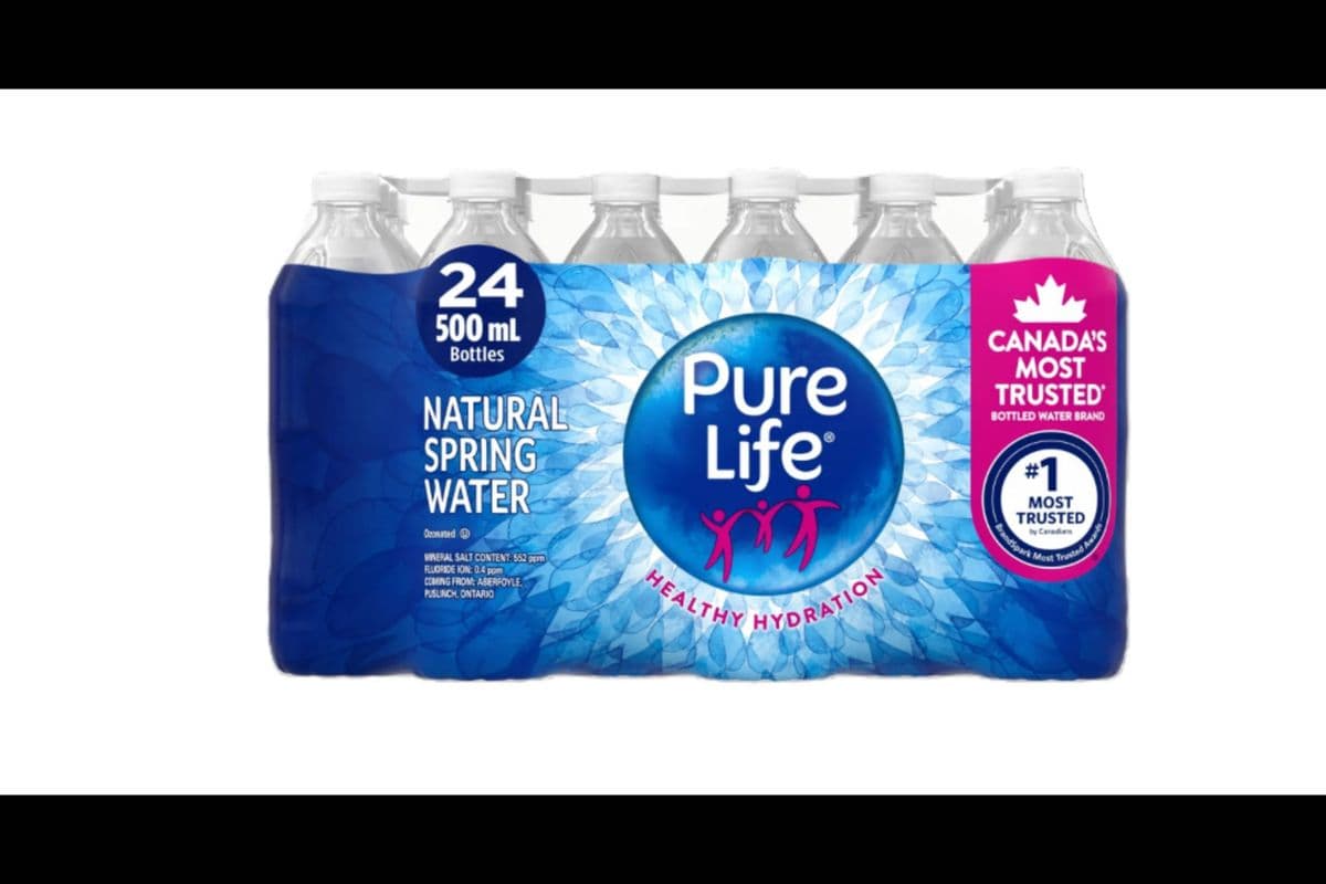 Pure Life (24 x 500ml)