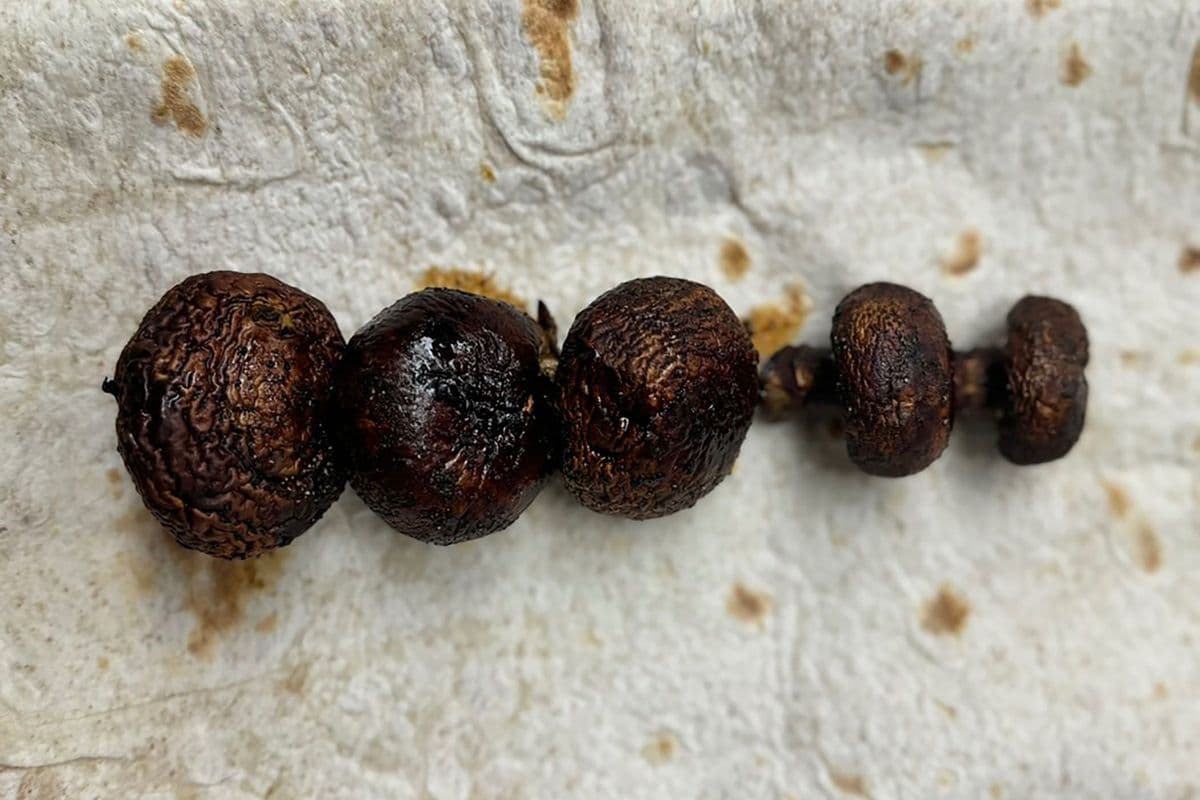 Grilled Mushroom