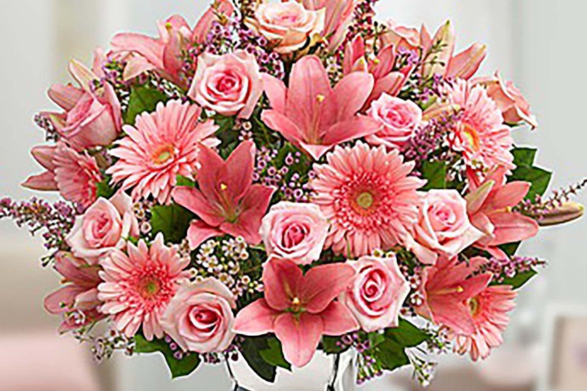 Dazzle Her Day!