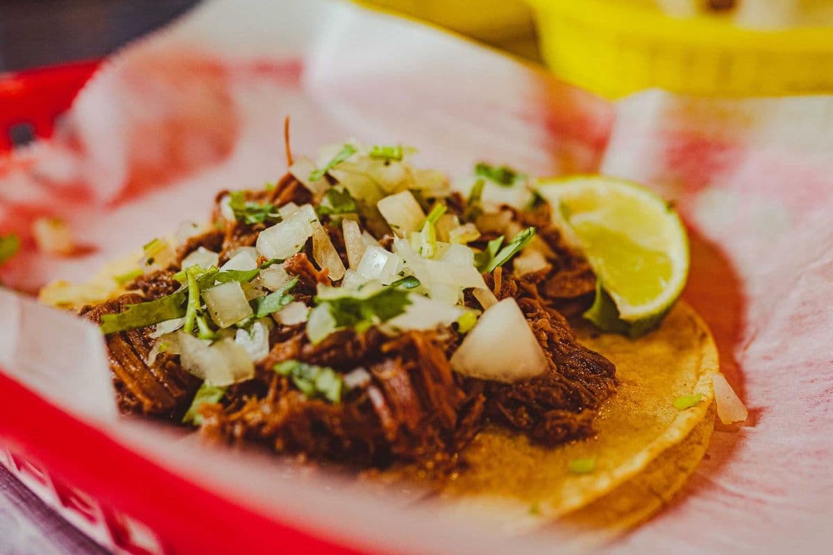 TACO BARBACOA RES
