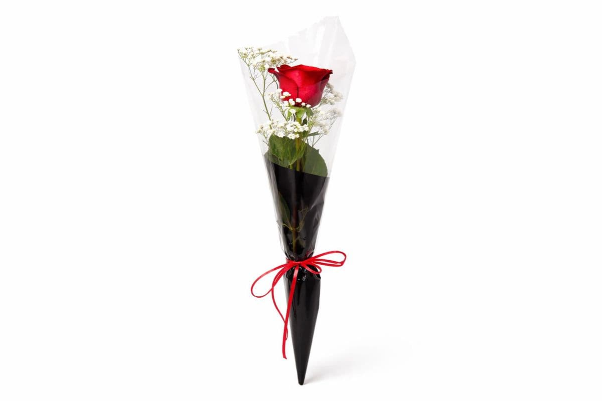 Single Rose