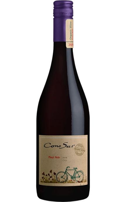 Cono Sur Pinot Noir - Chile (1 x 750 ml)