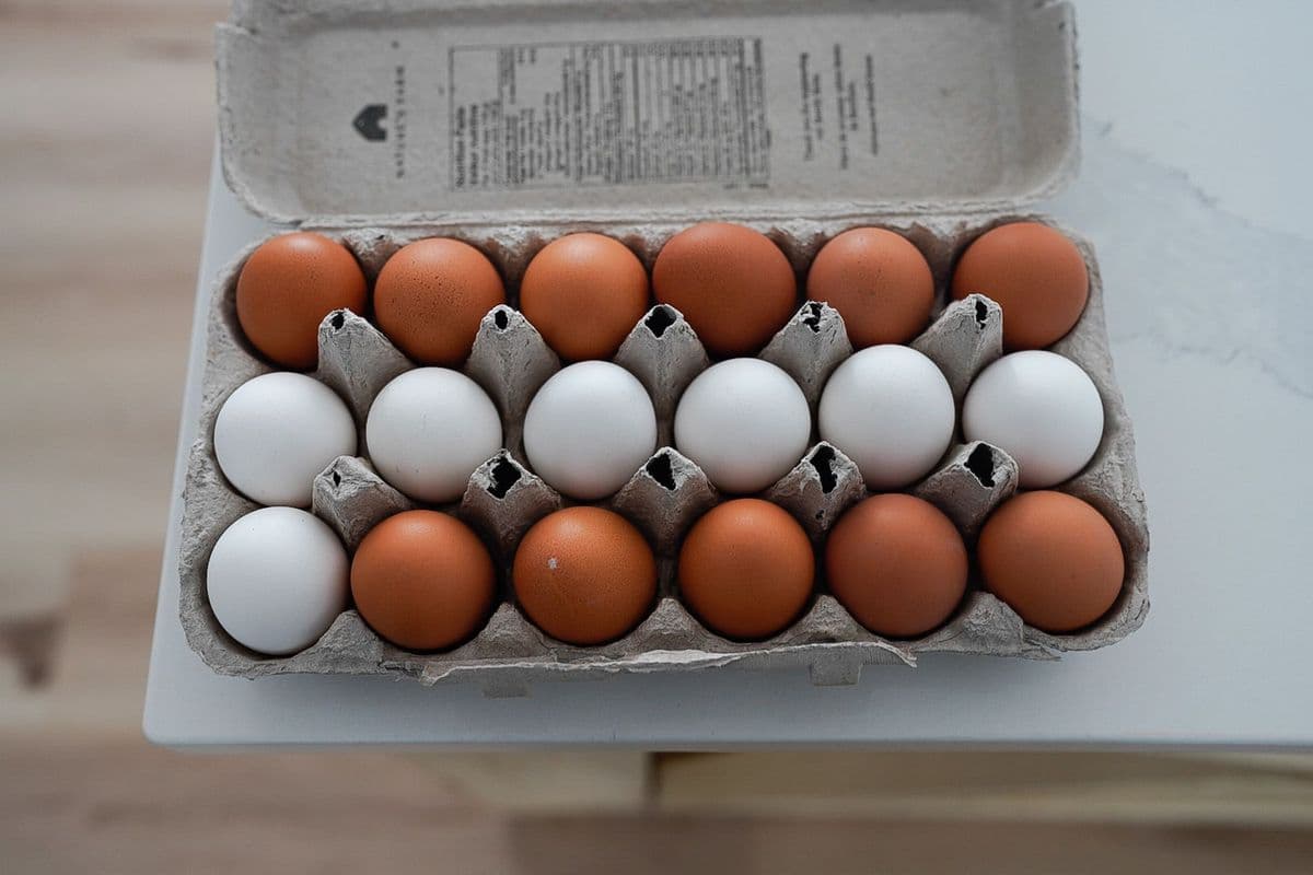 Free Run Eggs (12) - Natures Farm