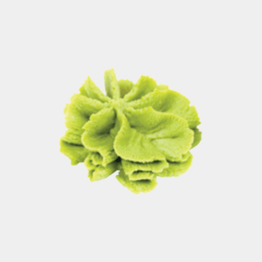 Wasabi / Wasabi