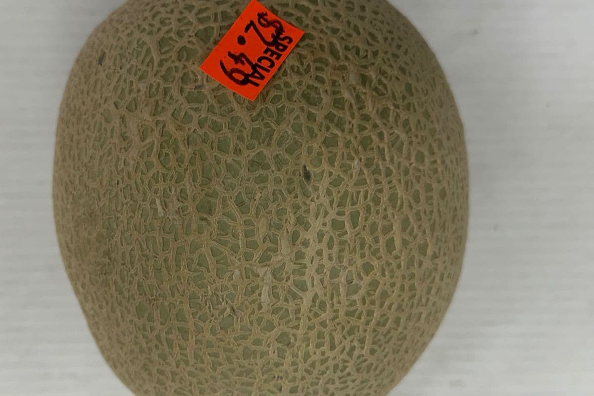 Cantaloupe - OUT OF STOCK (each)