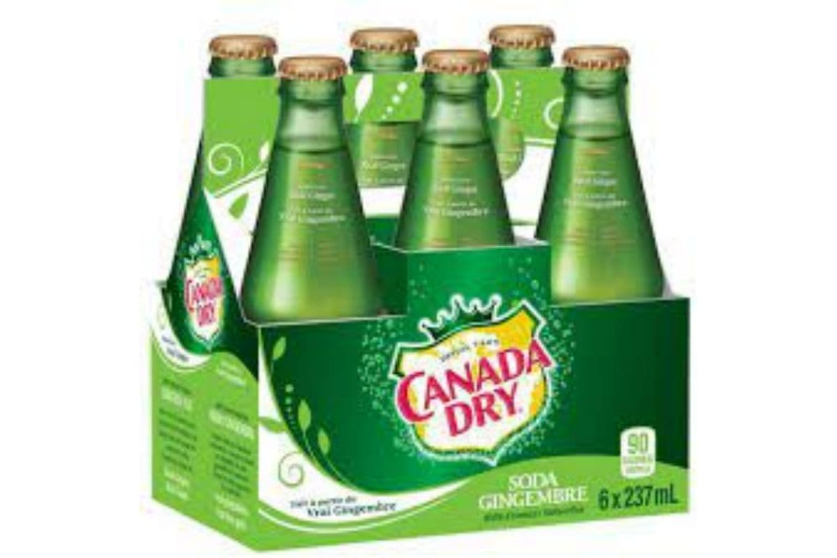 Canada Dry Ginger Ale (237 ml x 6 Bottles)