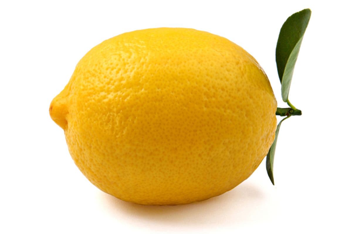 Lemon (1 pc)