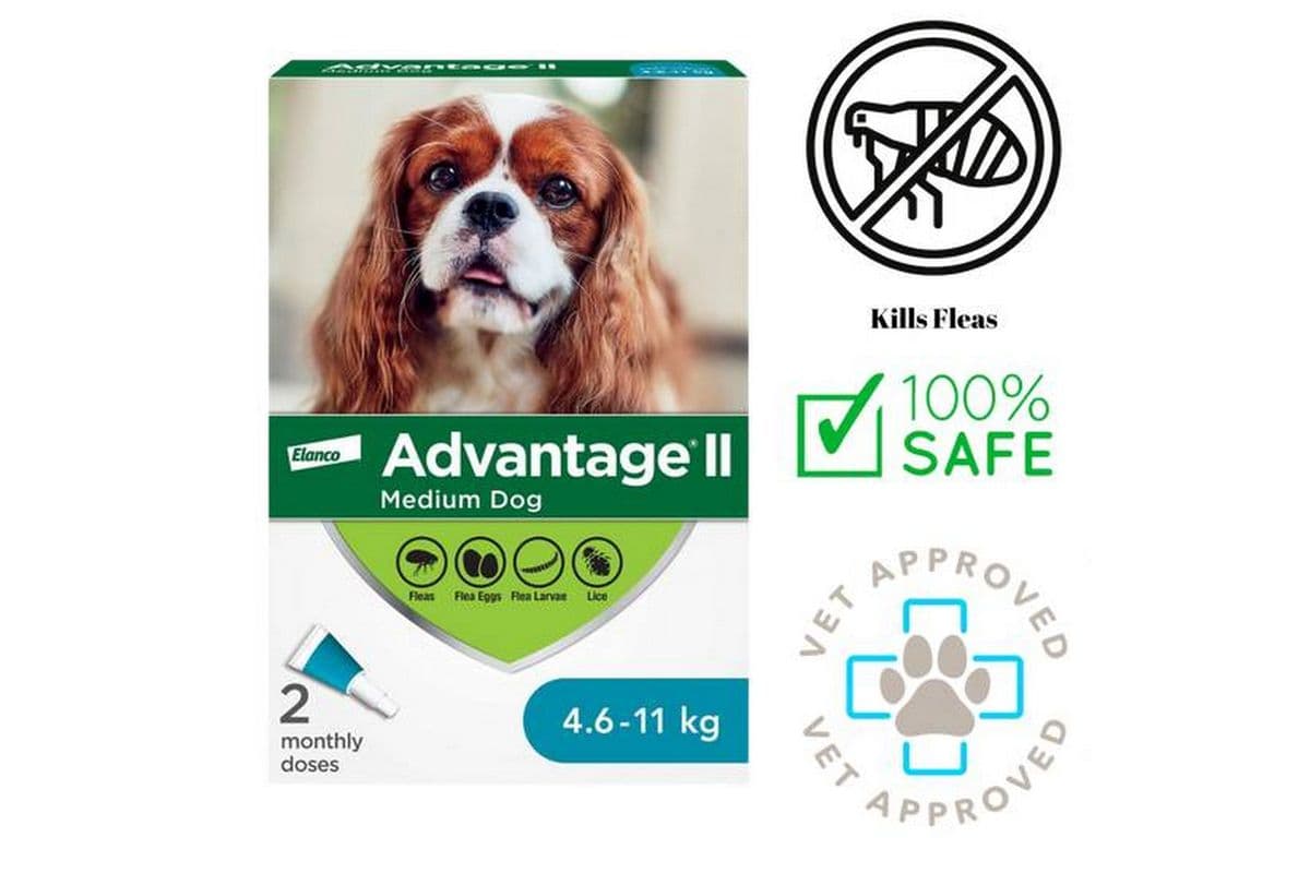 Advantage II - Flea & Tick Medication Medium Dogs (4.6 - 11 kg)