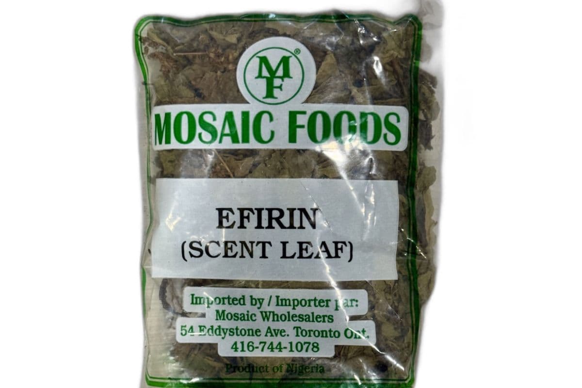 Scent leaf