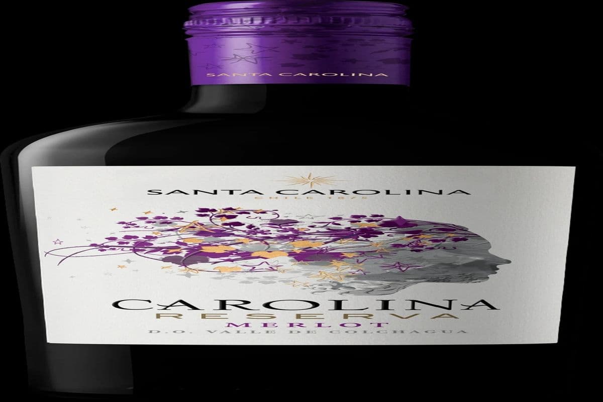 Santa Carolina Reserva Merlot (1 x 750ml)