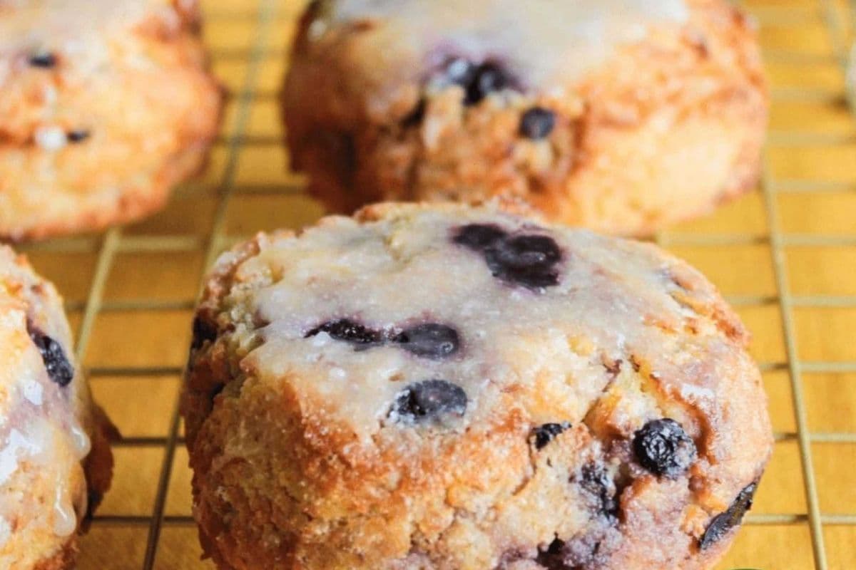Lemon Blueberry Scones (4 pack) (220 Cal)