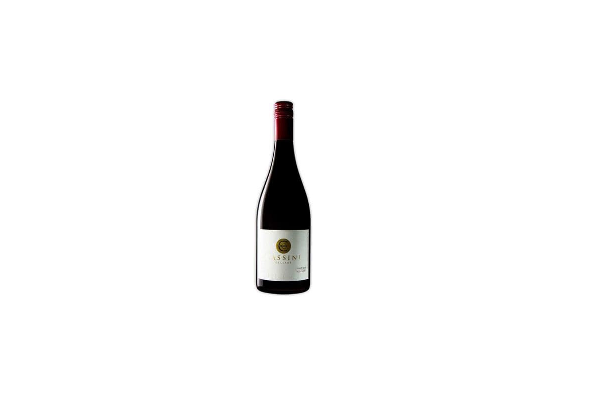 Cassini Pinot Noir (1 x 750 ml Bottle)