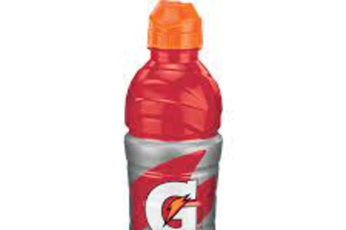 Gatorade Fruit Punch (710 ml)