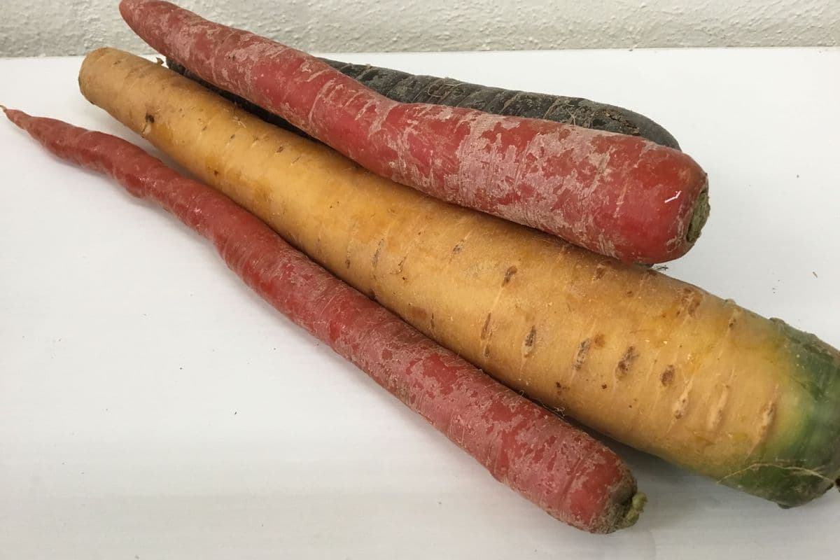 Carrots, Heirloom (Convenional) (Bunch of 5)