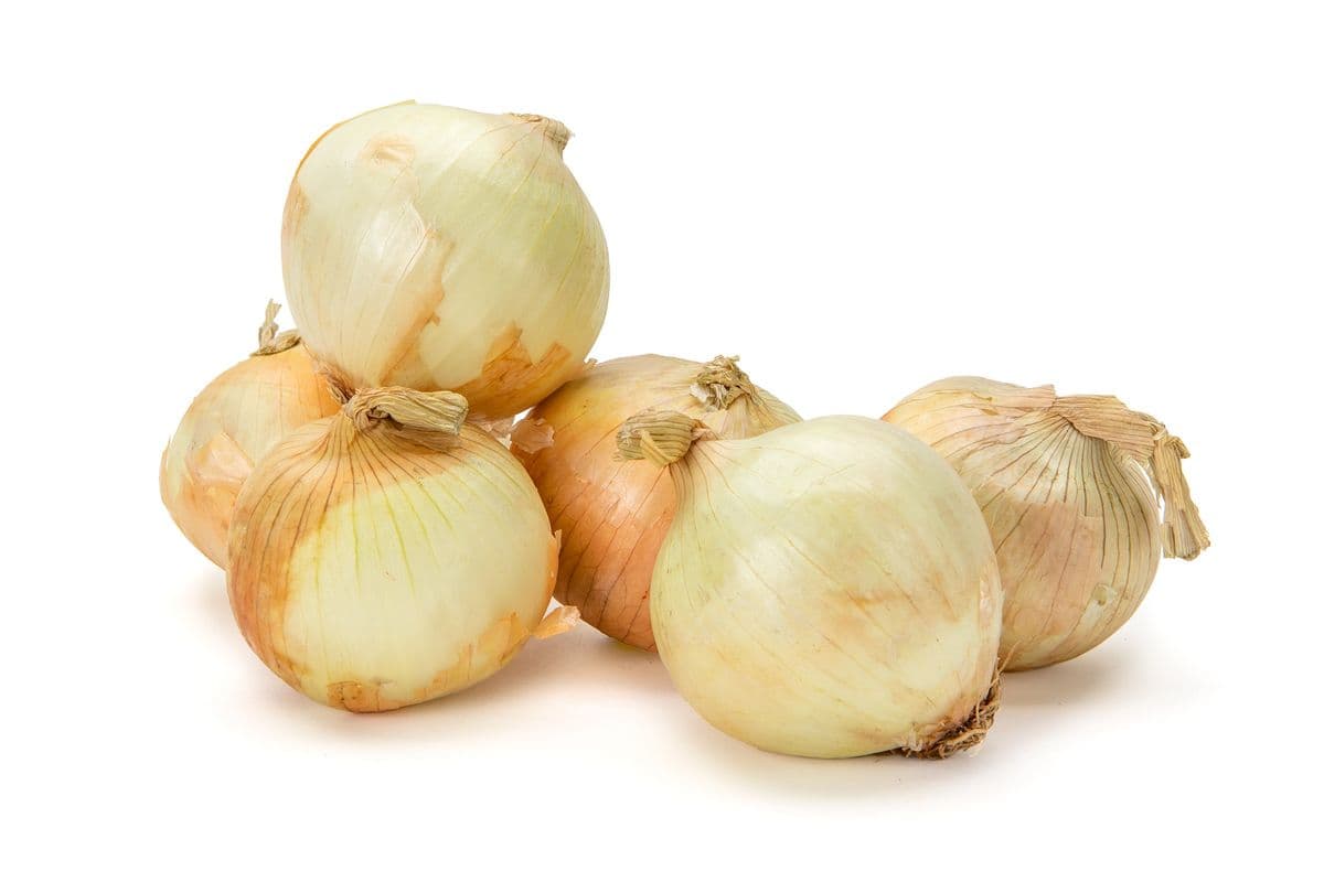 Onion