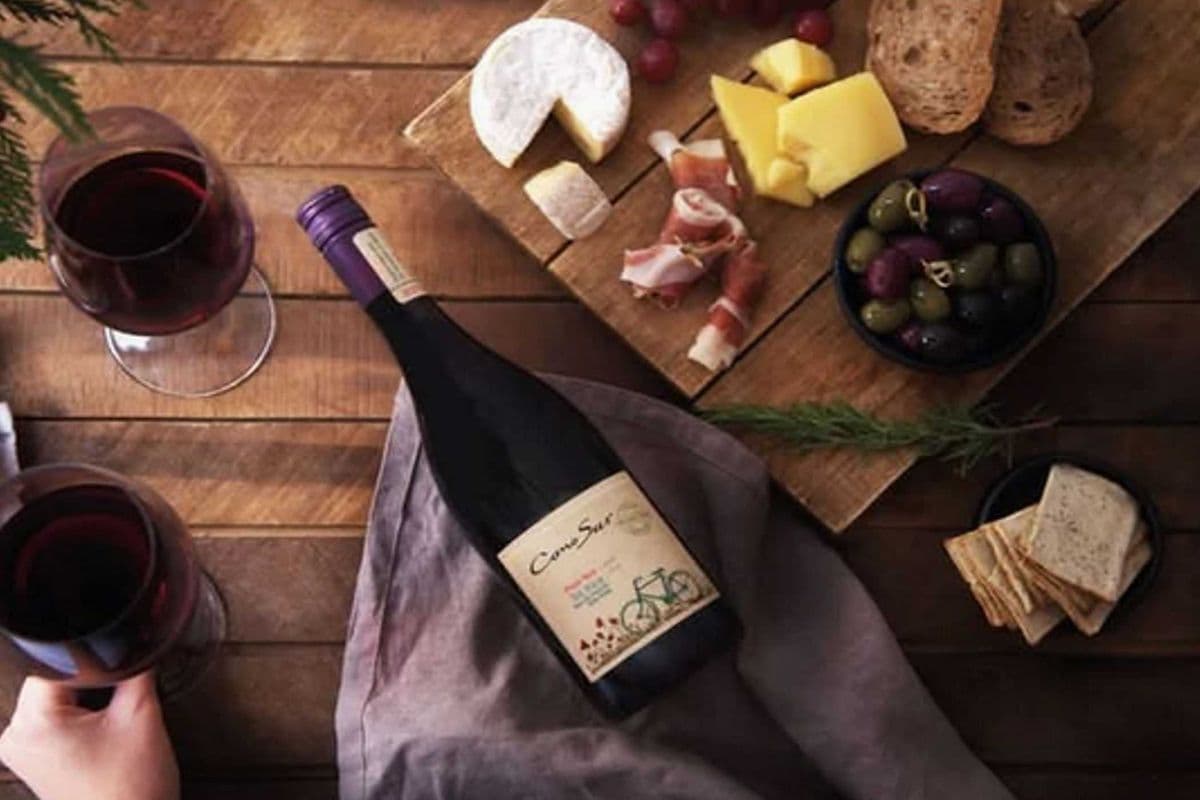 CONO SUR ORGANIC PINOT NOIR (1 x 750 ML)