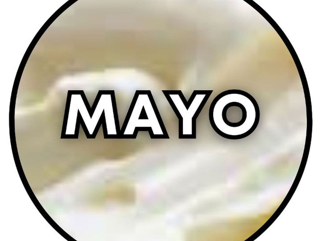 Side of Mayo