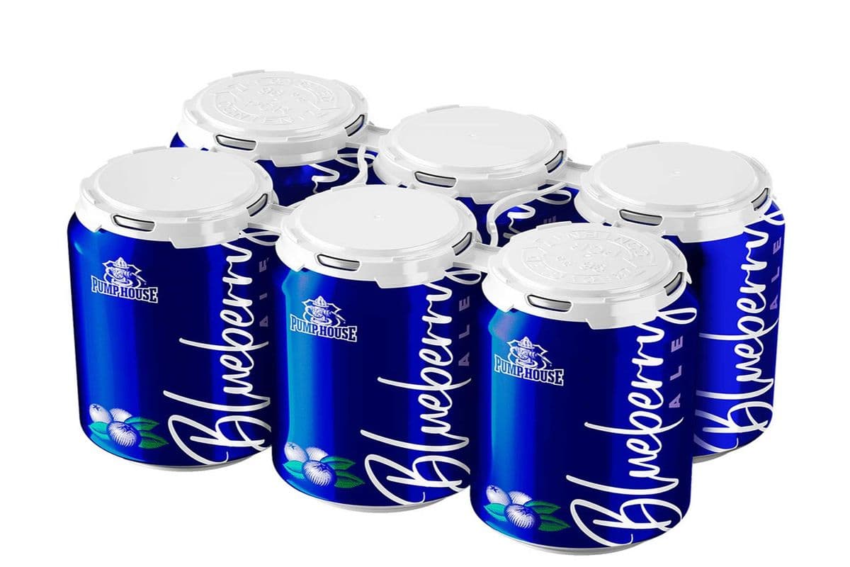 PUMP HOUSE BLUEBERRY ALE 6PK (6 x 355 ML)