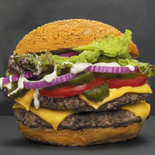 Gourmet Double cheese Burger