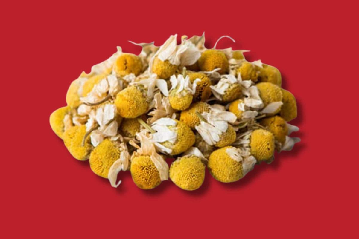 Organic Chamomile