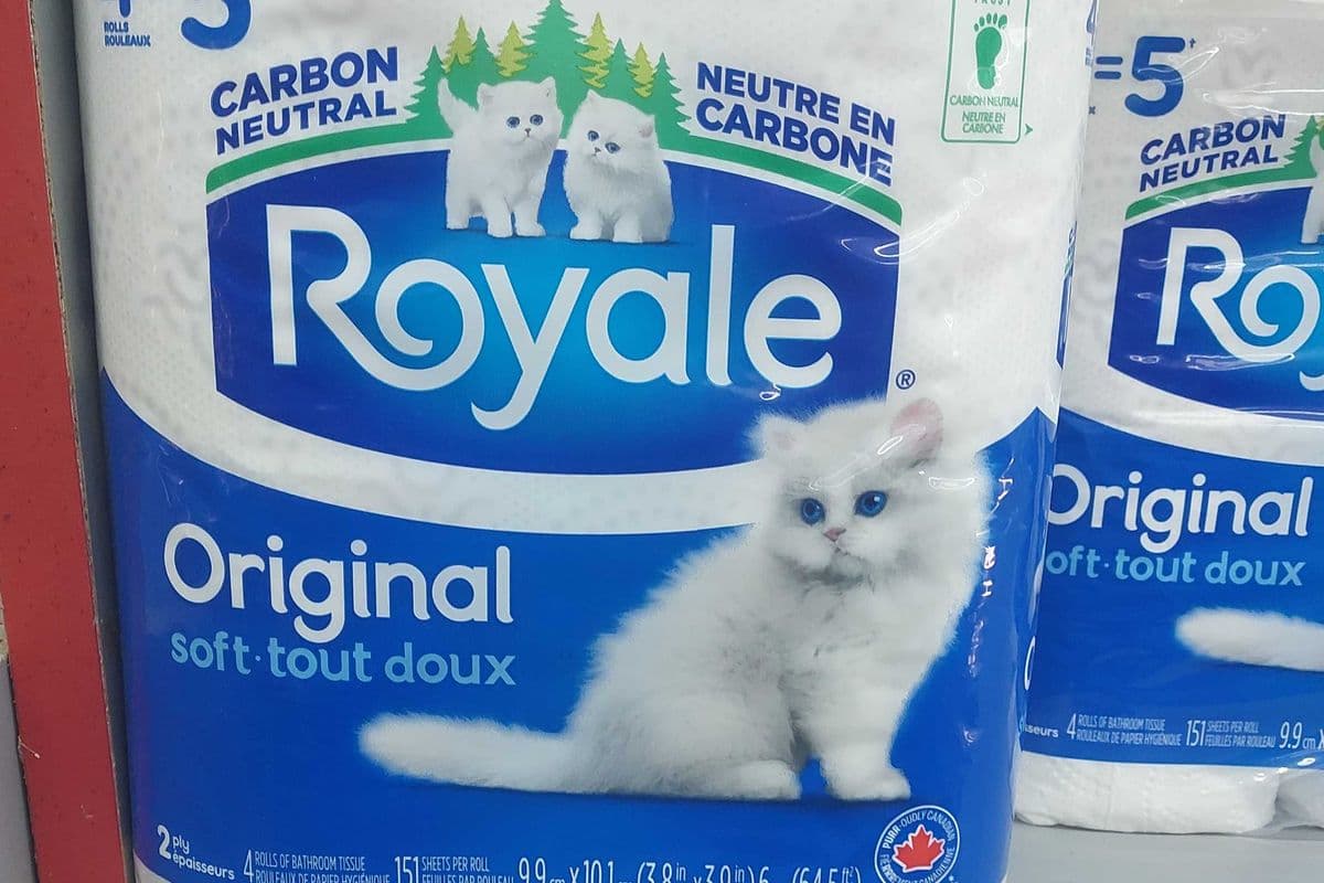 Royale tissue