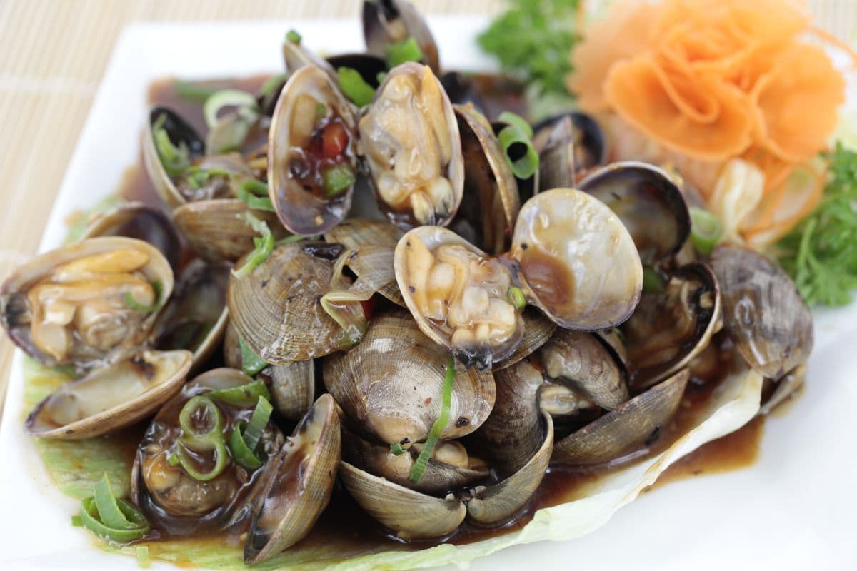 P11. Clam with Chilli Black Bean Sauce