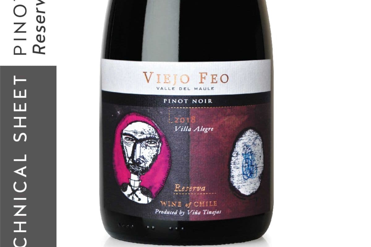 Vina Tinajas Viego Feo Pinot Noir (1 x 750 ml)