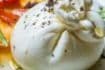 Fresh Burrata Cheese with Grilled Cherry Tomatoes and Roasted Red Pepper